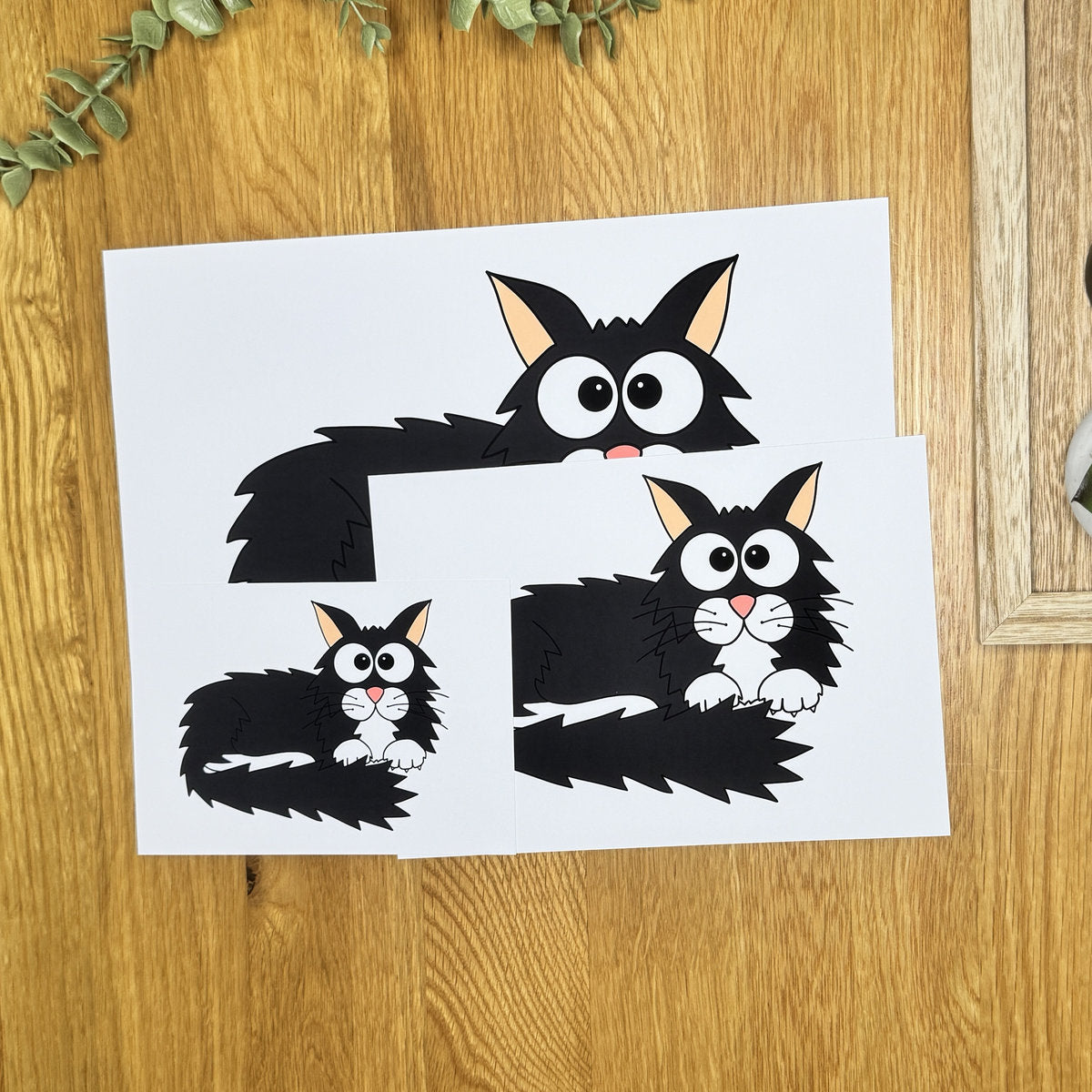 Cat (long haired, black & white) - Art Print