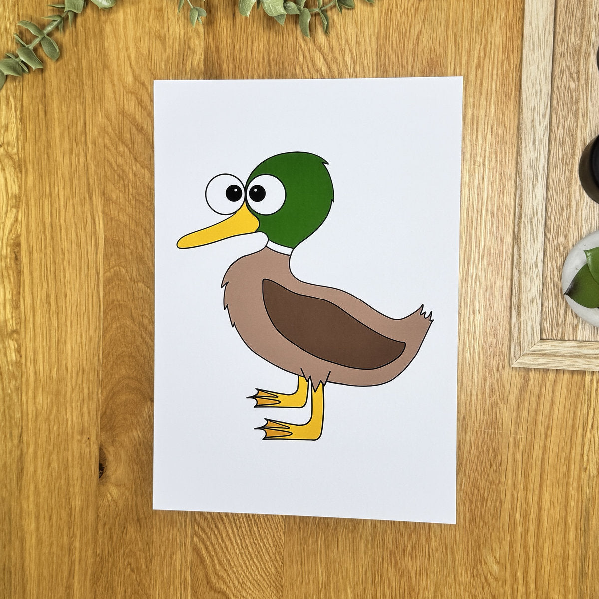 Duck (drake) - Art Print