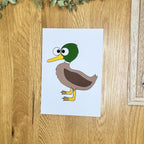 Duck (drake) - Art Print