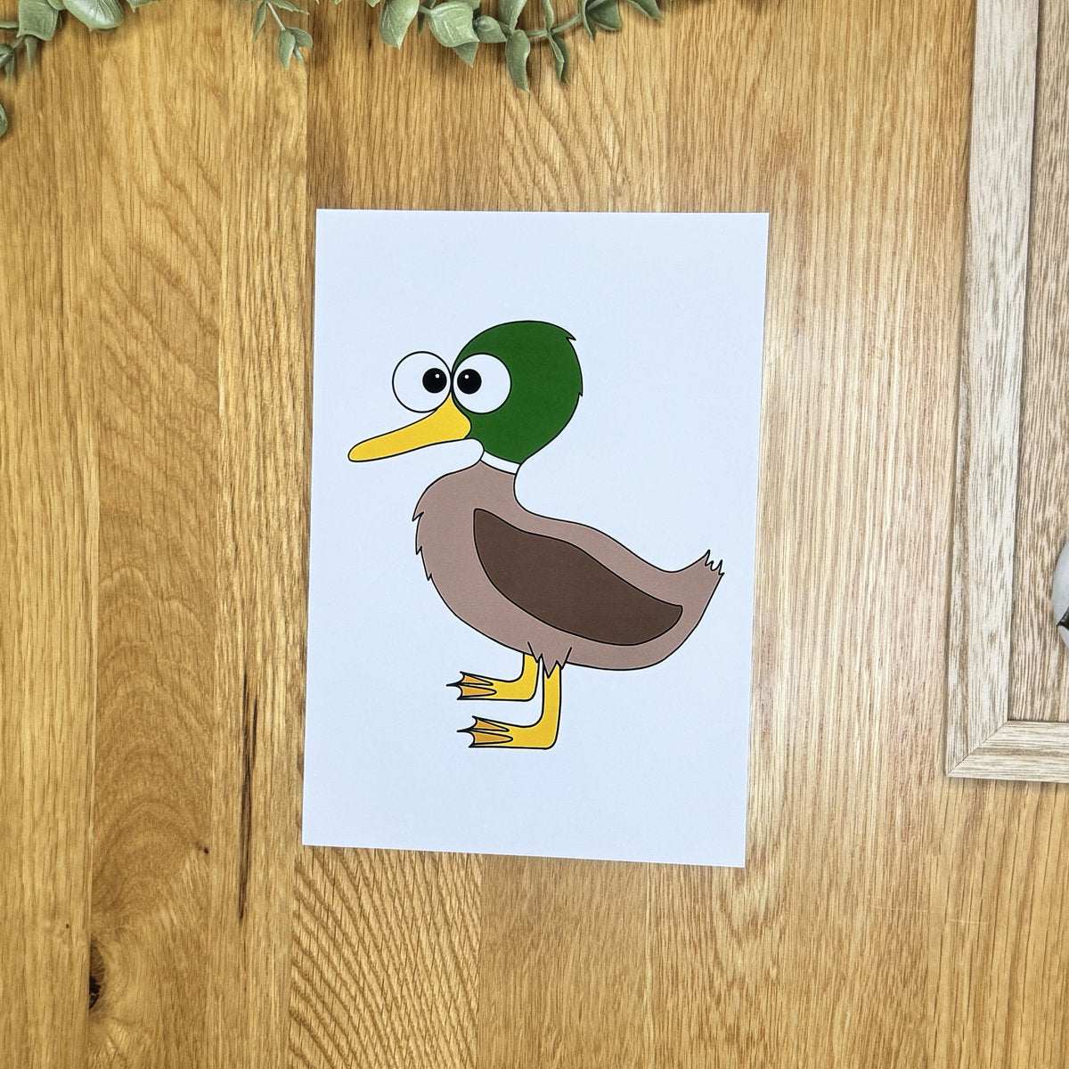 Duck (drake) - Art Print