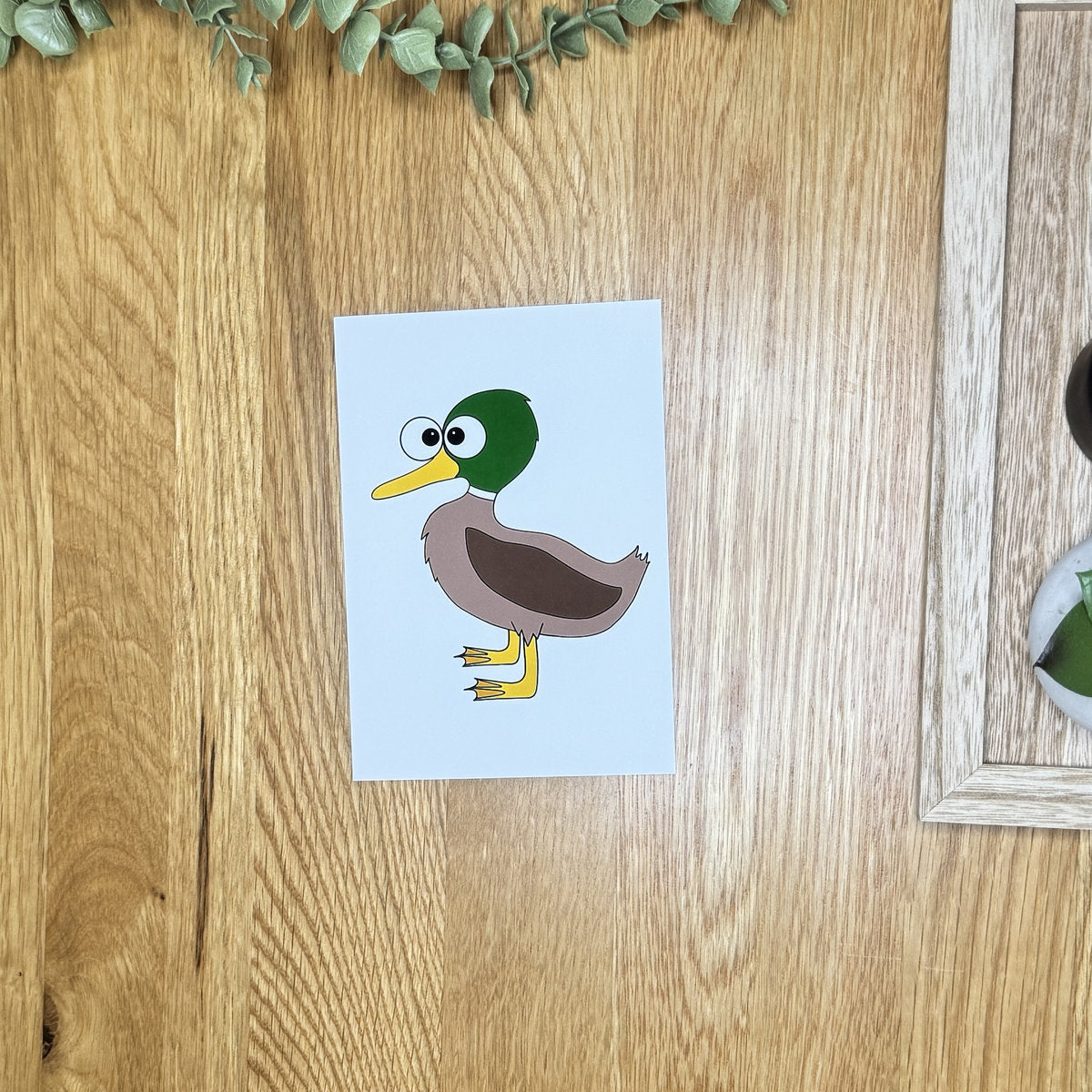 Duck (drake) - Art Print