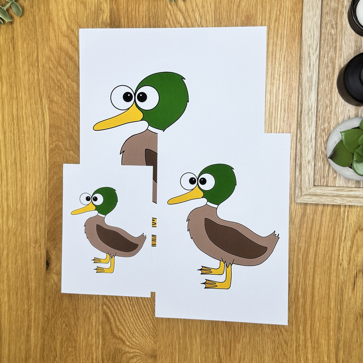 Duck (drake) - Art Print