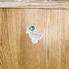 Duck (Drake) - Die Cut Sticker
