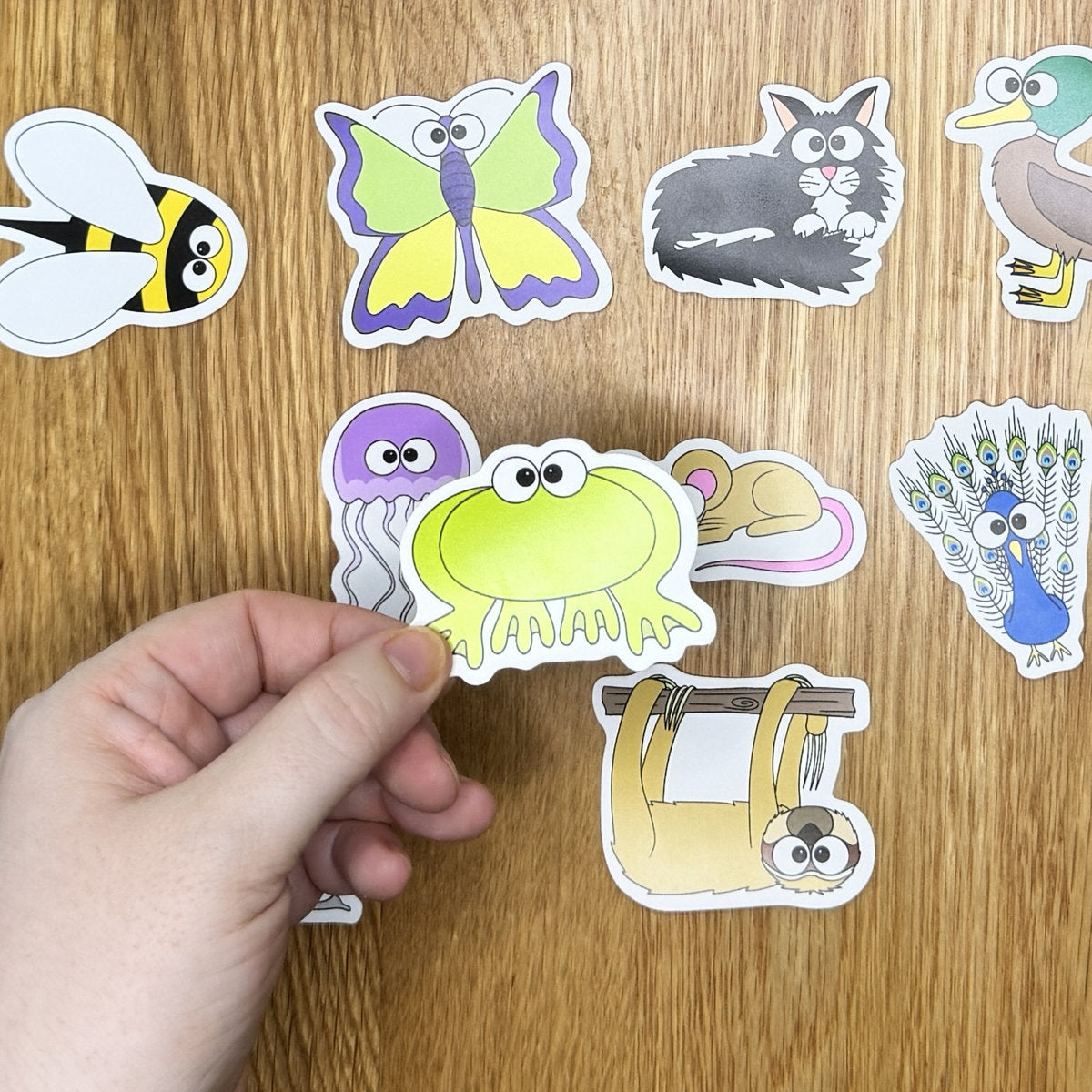 Frog - Die Cut Sticker