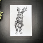 Leveret - Art Print