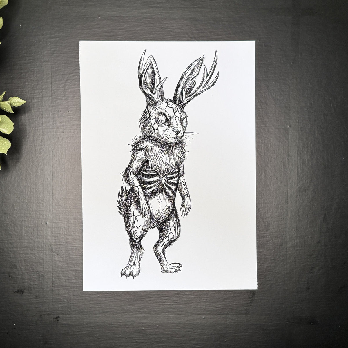 Leveret - Art Print