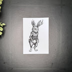 Leveret - Art Print