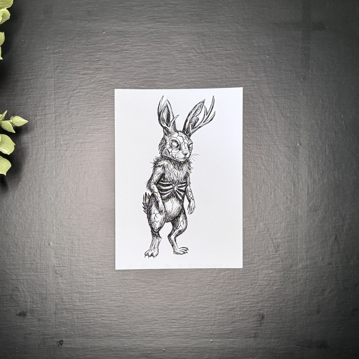 Leveret - Art Print
