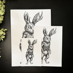 Leveret - Art Print