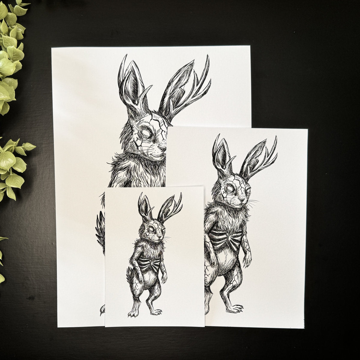 Leveret - Art Print
