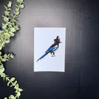 Marauding Magpie - Art Print