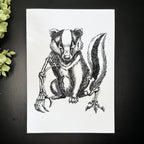Modified Badger - Art Print