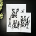 Modified Badger - Art Print