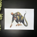 Screaming Opossum - Art Print