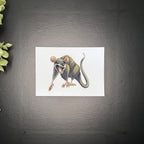 Screaming Opossum - Art Print