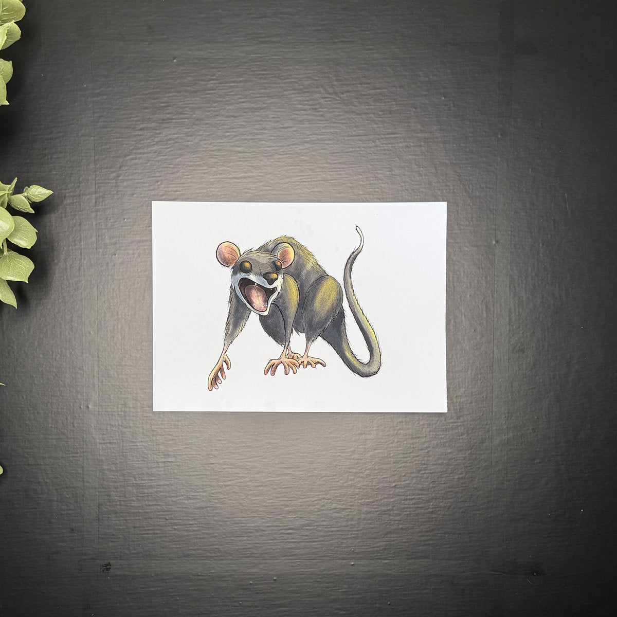 Screaming Opossum - Art Print