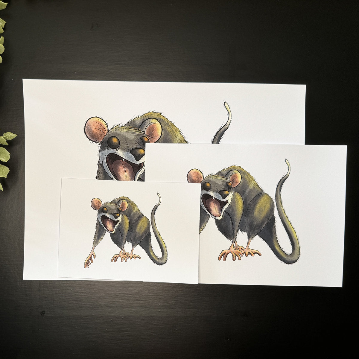 Screaming Opossum - Art Print