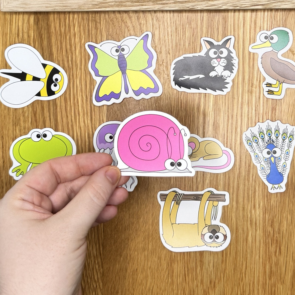 Snail- Die Cut Sticker