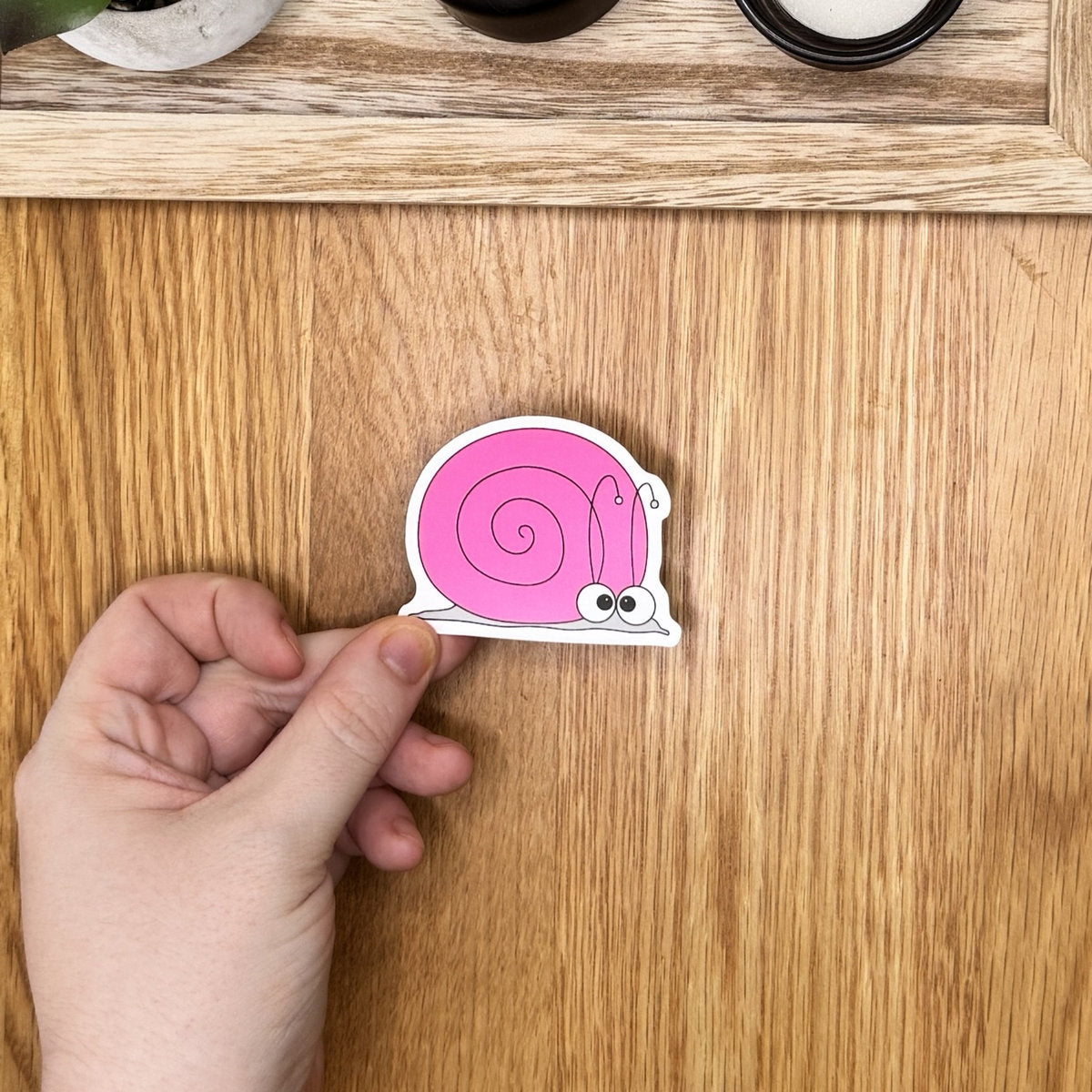 Snail- Die Cut Sticker